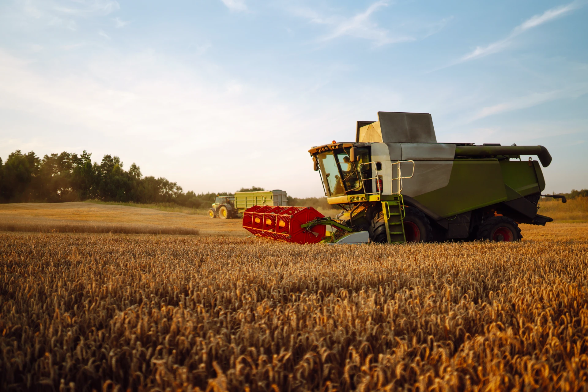 Agricultural Input Supply